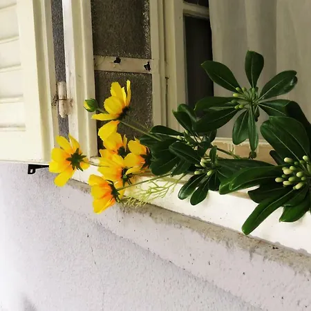 Apartman & Studio Lemon Dubrovnik